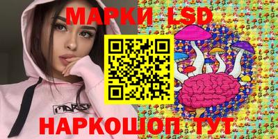 эйфоретик Будённовск