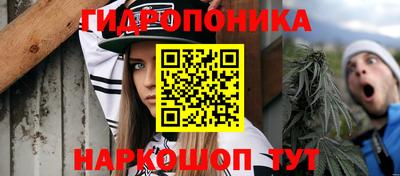 эйфоретик Будённовск