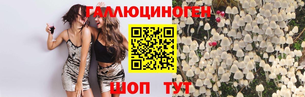Псилоцибиновые грибы MAGIC MUSHROOMS Малоярославец