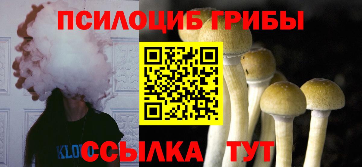 Малоярославец  Галлюциногенные грибы GOLDEN TEACHER  Вход с VPN 
